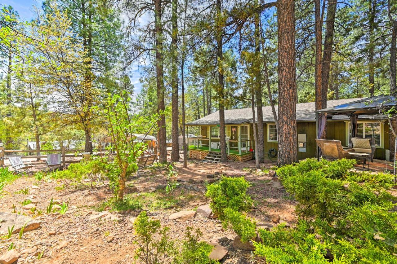 Pine Cabin In The Woods With Yard And Grill! Villa Exterior photo